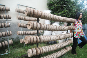 Biomass briquettes