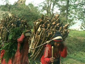 Nepal wood carrying - McArdle 2008