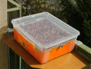 Mini-séchoir solaire SimplaSec