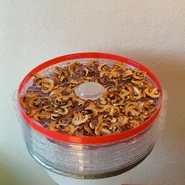 Champignons séchés