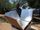 Solar Cooking Zambia