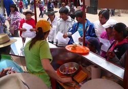 The solar powered food cart has been a success at the Carnival of Puna.