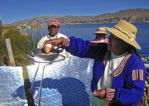 BYU project in Peru