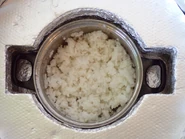 KotoThermosCooker Scout | Solar Cooking | Fandom