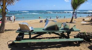 Solar cooking Kauai style