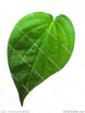 Betel leaf