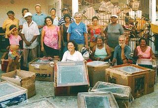 Brazilian scavengers