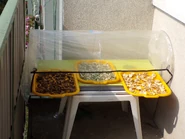 Séchoir solaire TunnelaSec