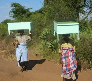 ADES - Solar cookers carried home - March 2008