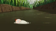 Pezlie floating in a puddle