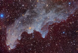 IC 2118, The Witch Head Nebula.