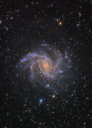 NGC 6946