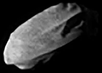 Daphnis