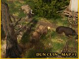 Dun Cuin