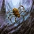 Catacomb Spider 1