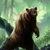 Fangwood Bear 1