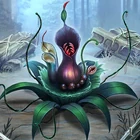 Overgrown Spineleaf 1