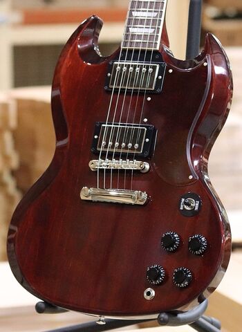 Maple top SG