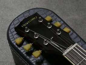 FGN SG Copies | SG Wiki | Fandom