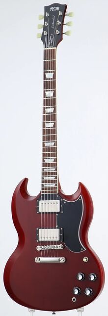 12 fgn jsg