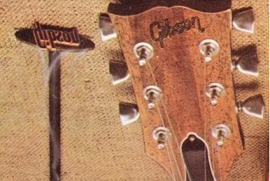 RG870RWZ | Ibanez Wiki | Fandom
