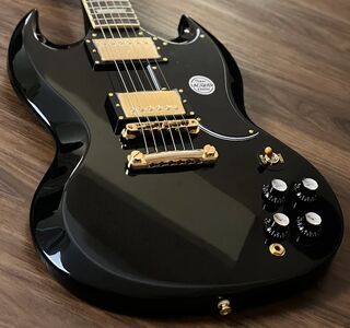 22 tokai sg215gh