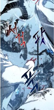 Fight between Ice Bears