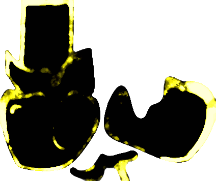 Sillius | Some Rooms Fangame Wiki | Fandom