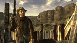 Fallout New Vegas NPC Overhaul by Dragbody 