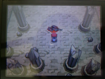 The aftermath of the battle