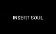 InsertSoul