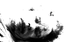 Johan Gaartsen's carcass