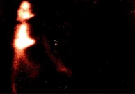 This photo was recently discovered in an attic in Bethel, Connecticut