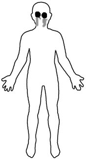 Human-body-outline (1)