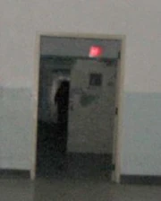 a "shadow person" sighting