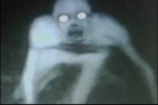 Is this The Rake? Or can it be The Ombra in its true form?