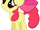 Apple Bloom