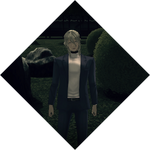 Summary image 234