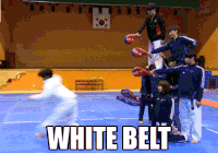 Flurryofblows.gif