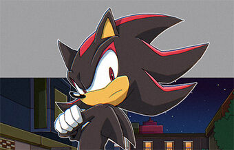 It's Called Life (Sonic x Reader x Shadow x Silver) [ON HOLD