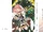 Fate/Apocrypha Tập 3