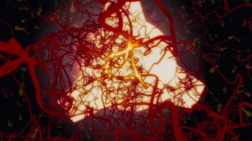 Medicule đằng sau Mediport