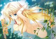 Absolute Duo Volume 2 Colour 4