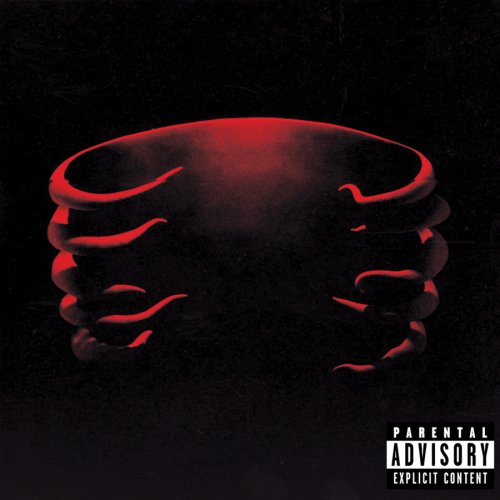 tool aenima album cover meaning