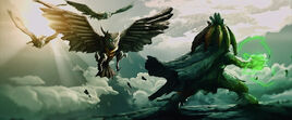 Owls approach Echidna