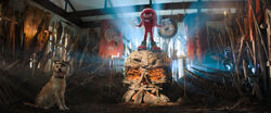 Knuckles Stills 21