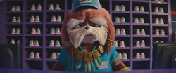 Knuckles Stills 14