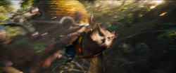 LongclawFlight