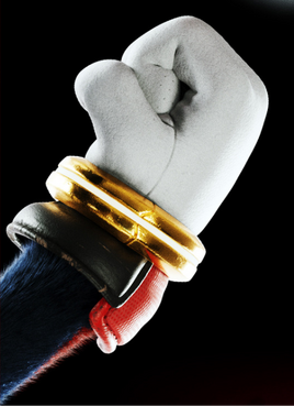 Inhibitor Rings