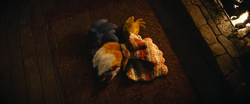 Sonic and Tails sleep